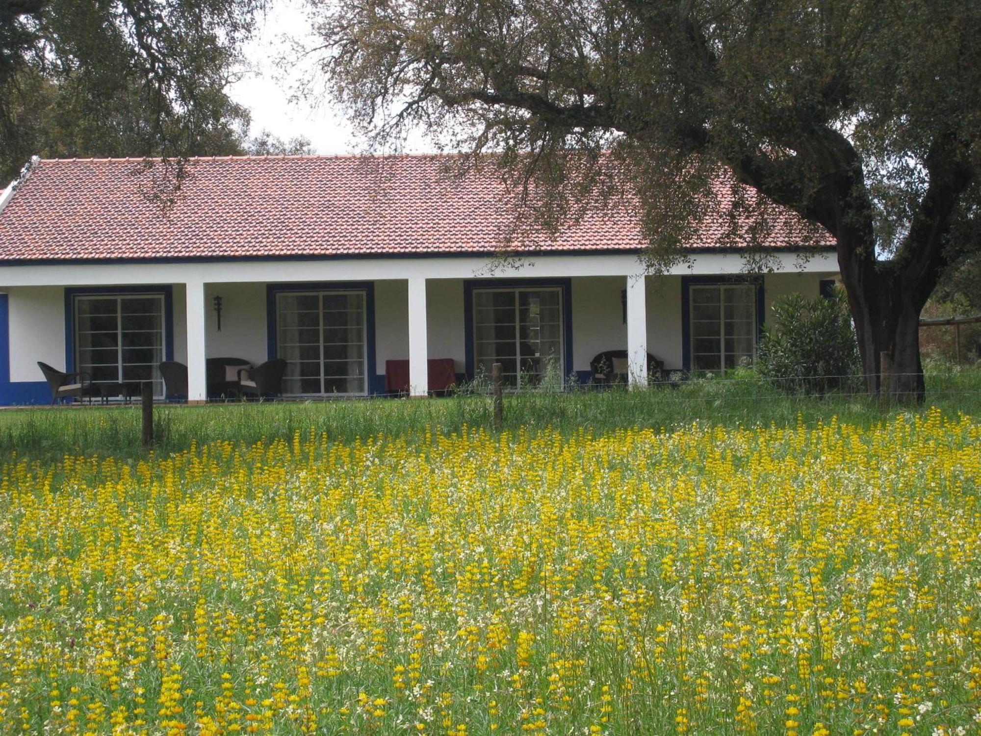 Monte Das Faias Cork Farm Hotel แกรนโดลา ภายนอก รูปภาพ