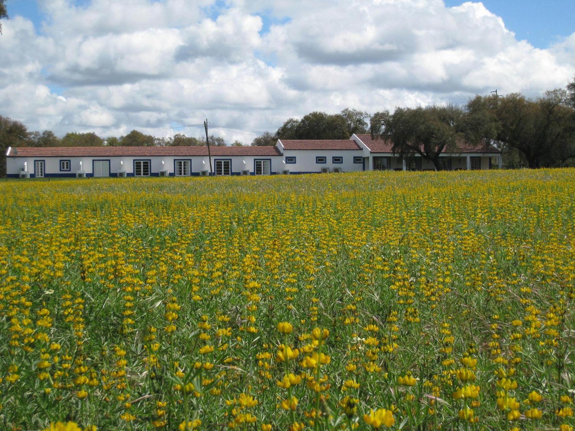Monte Das Faias Cork Farm Hotel แกรนโดลา ภายนอก รูปภาพ